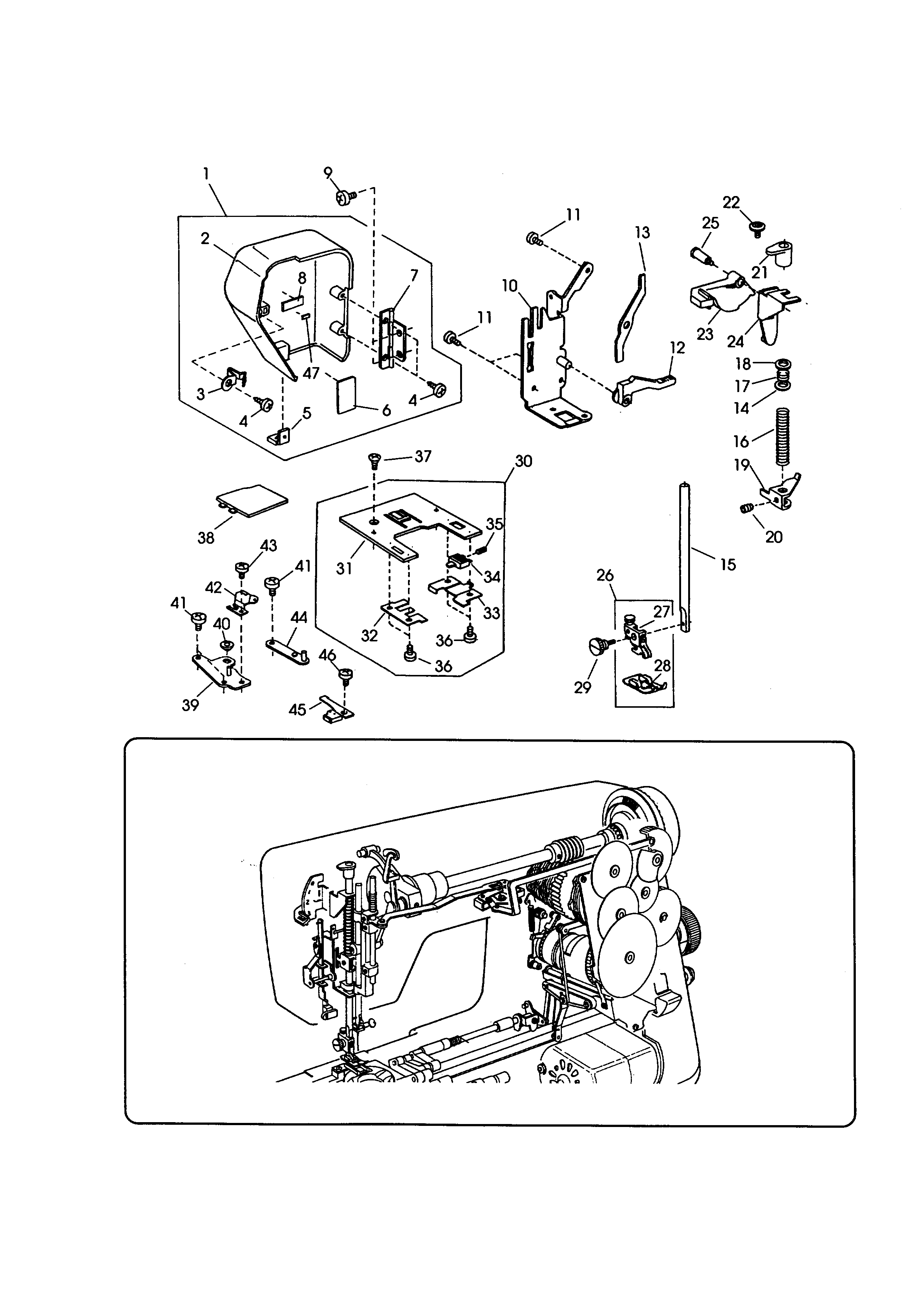 Face cover and needle plate