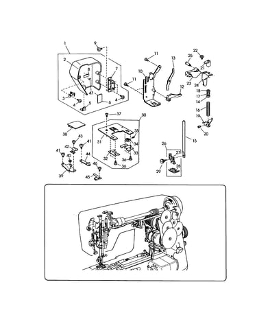 Face cover and needle plate
