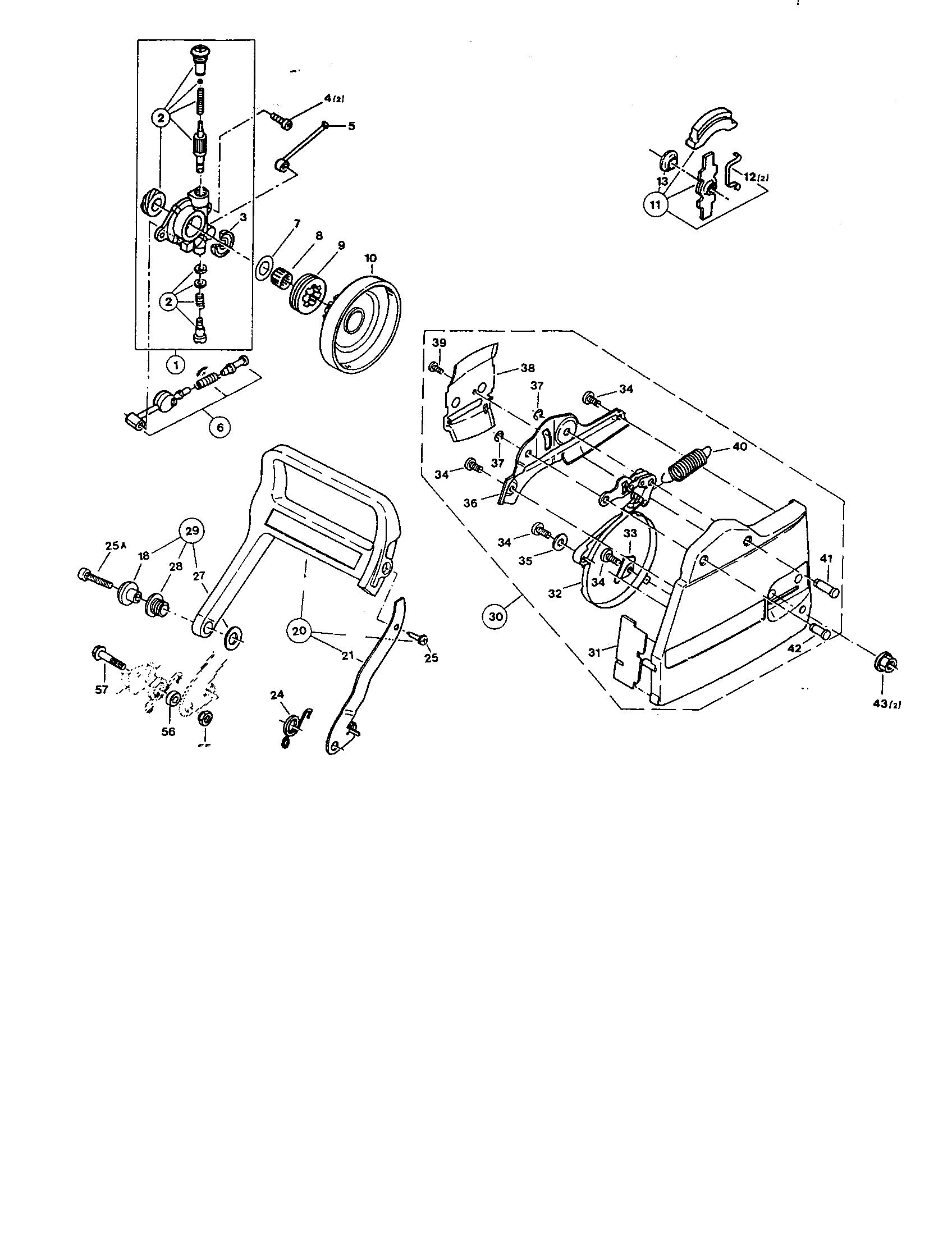 Oil pump, clutch, chain brake