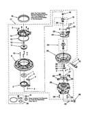 Pump and motor