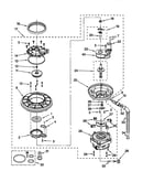 Pump and motor