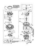 Pump and motor