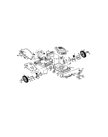 Rotary lawn mower