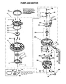 Pump and motor