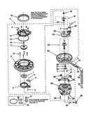 Pump and motor