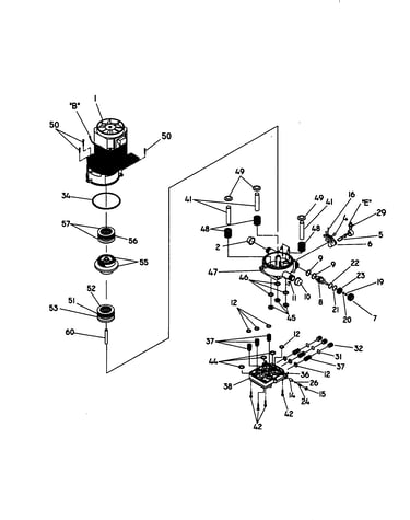 Motor and pump