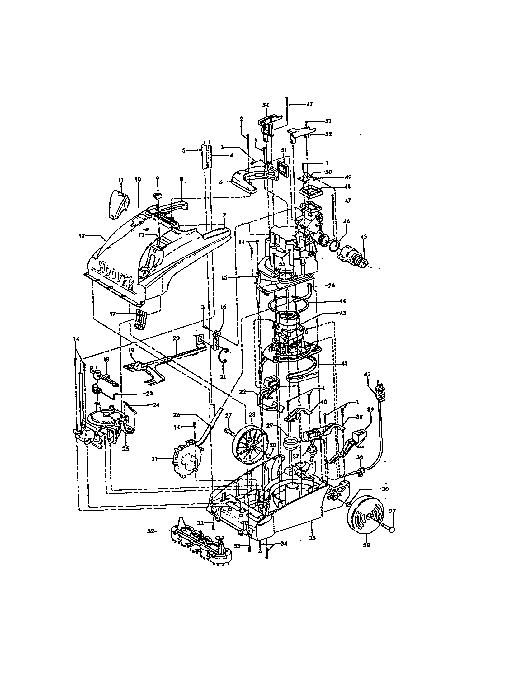 MAIN BODY