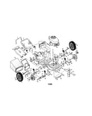 Rotary lawn mower