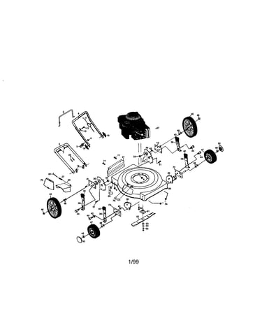 Rotary lawn mower