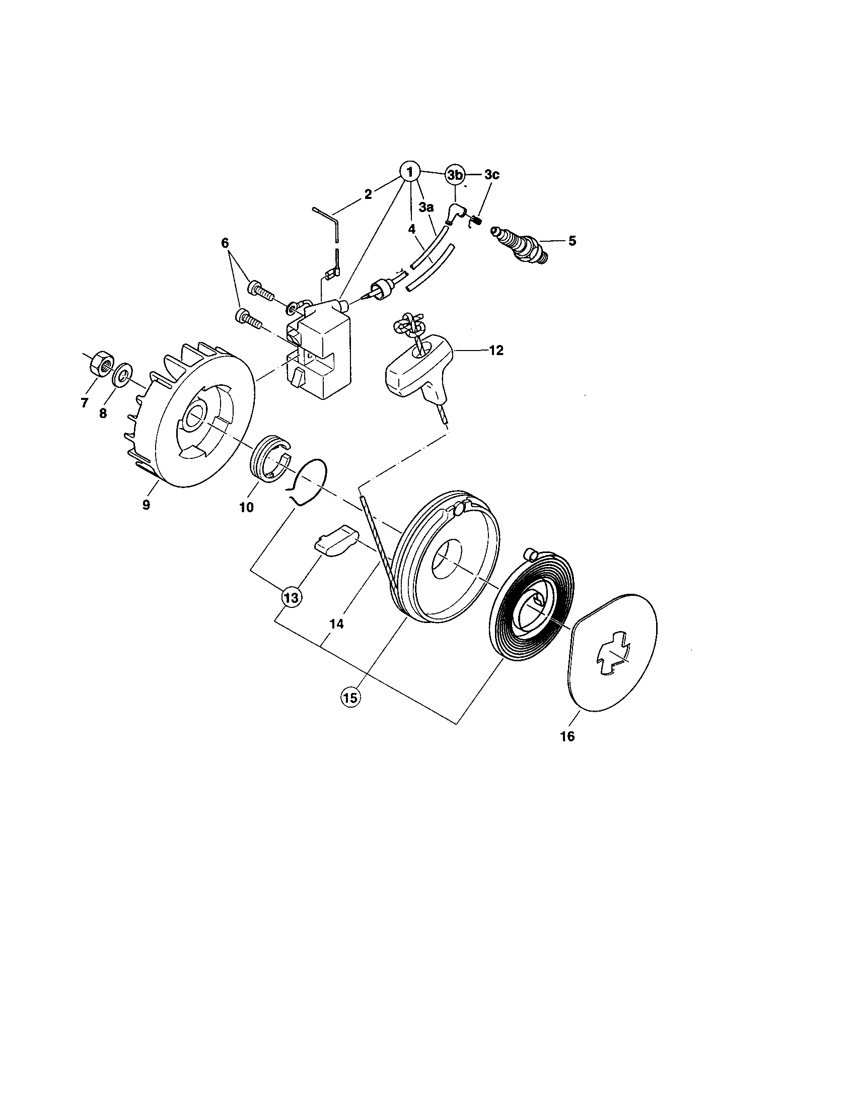 Ignition/flywheel/starter