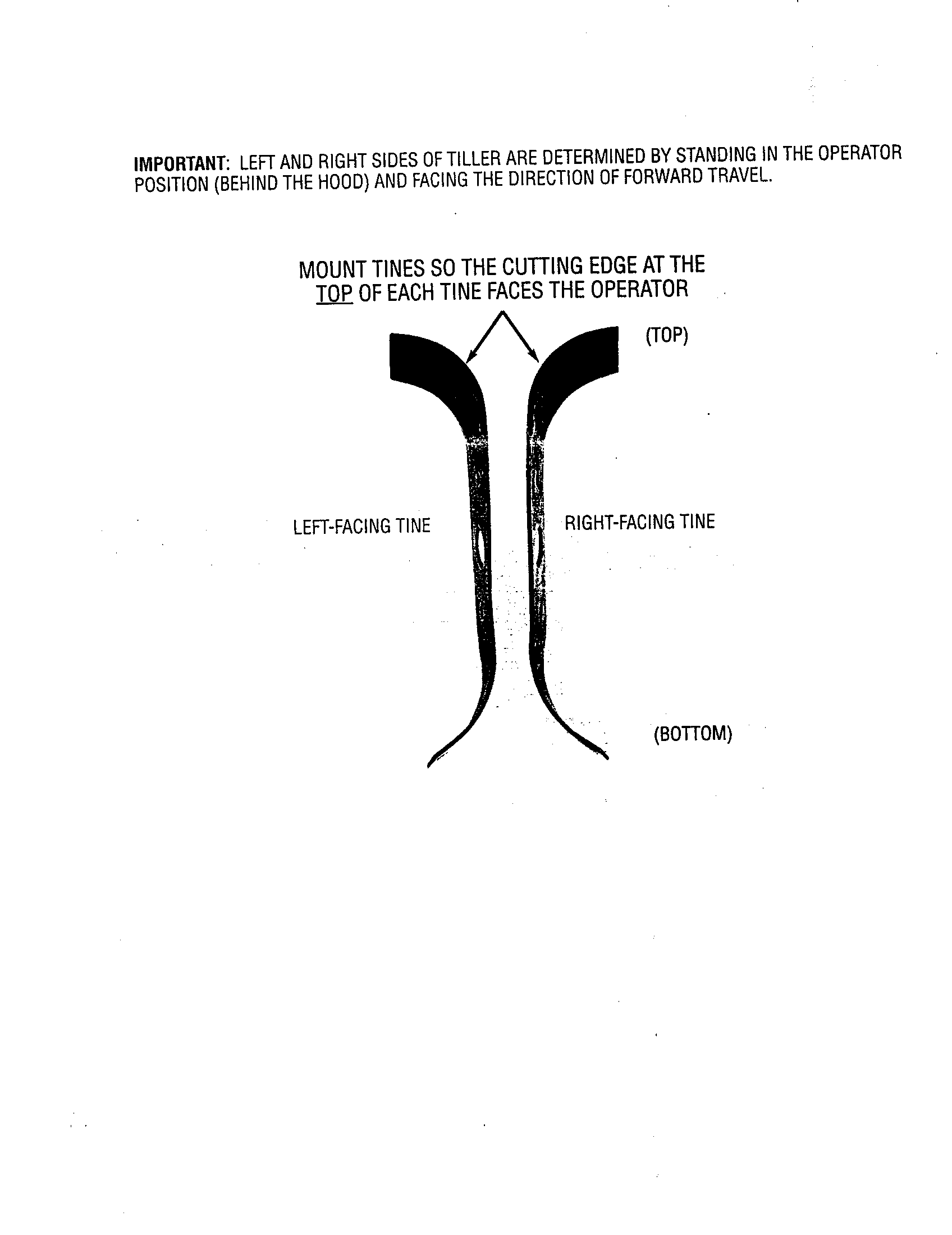 TINE PLACEMENT INSTRUCTIONS- TEXT ONLY