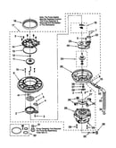 Pump and motor
