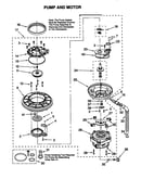 Pump and motor