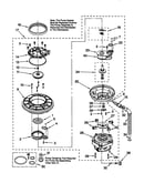 Pump and motor