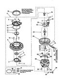Pump and motor