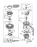 Pump and motor