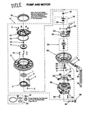 Pump and motor