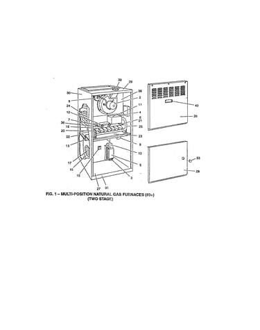 Fig. 1
