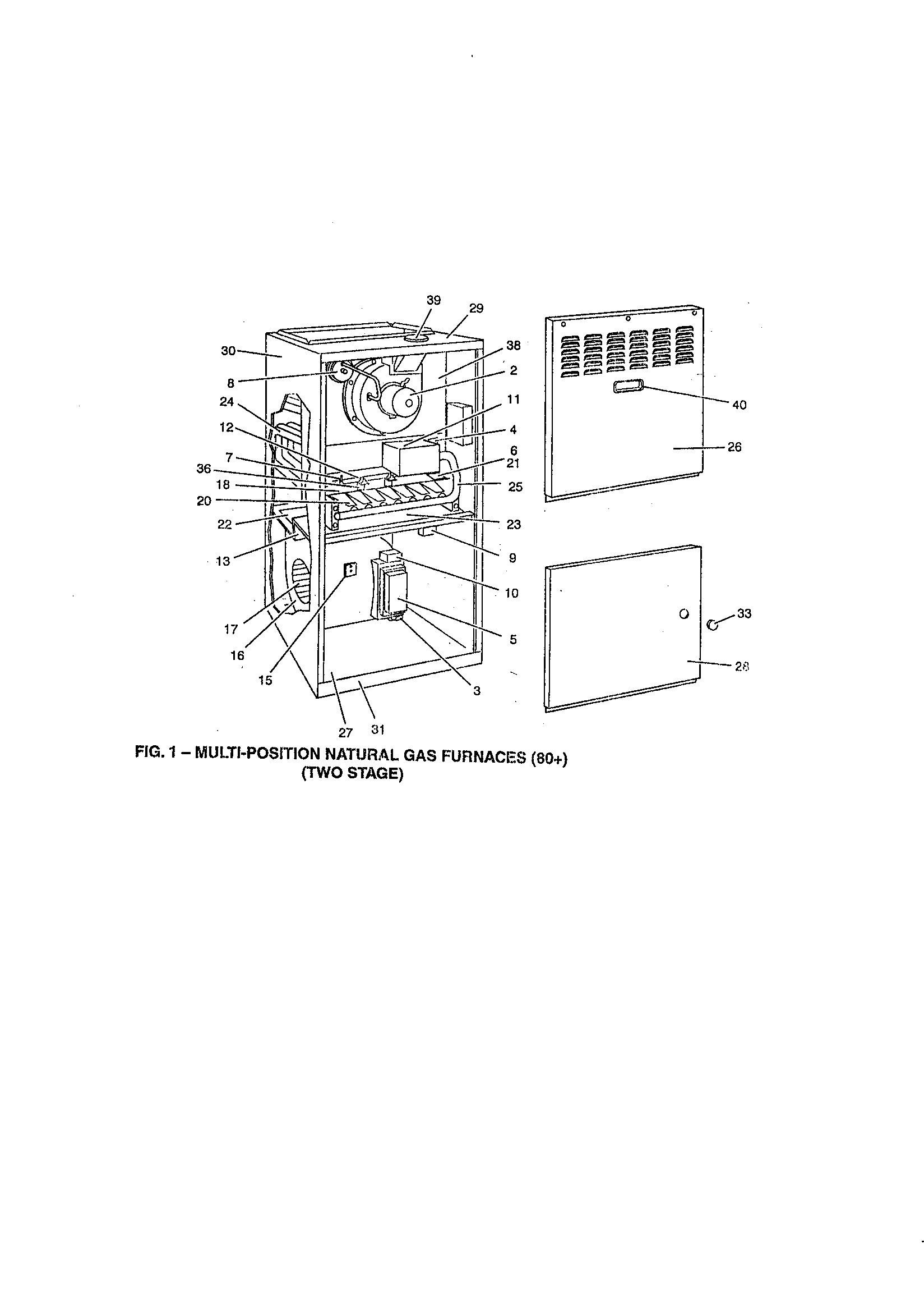 Fig. 1