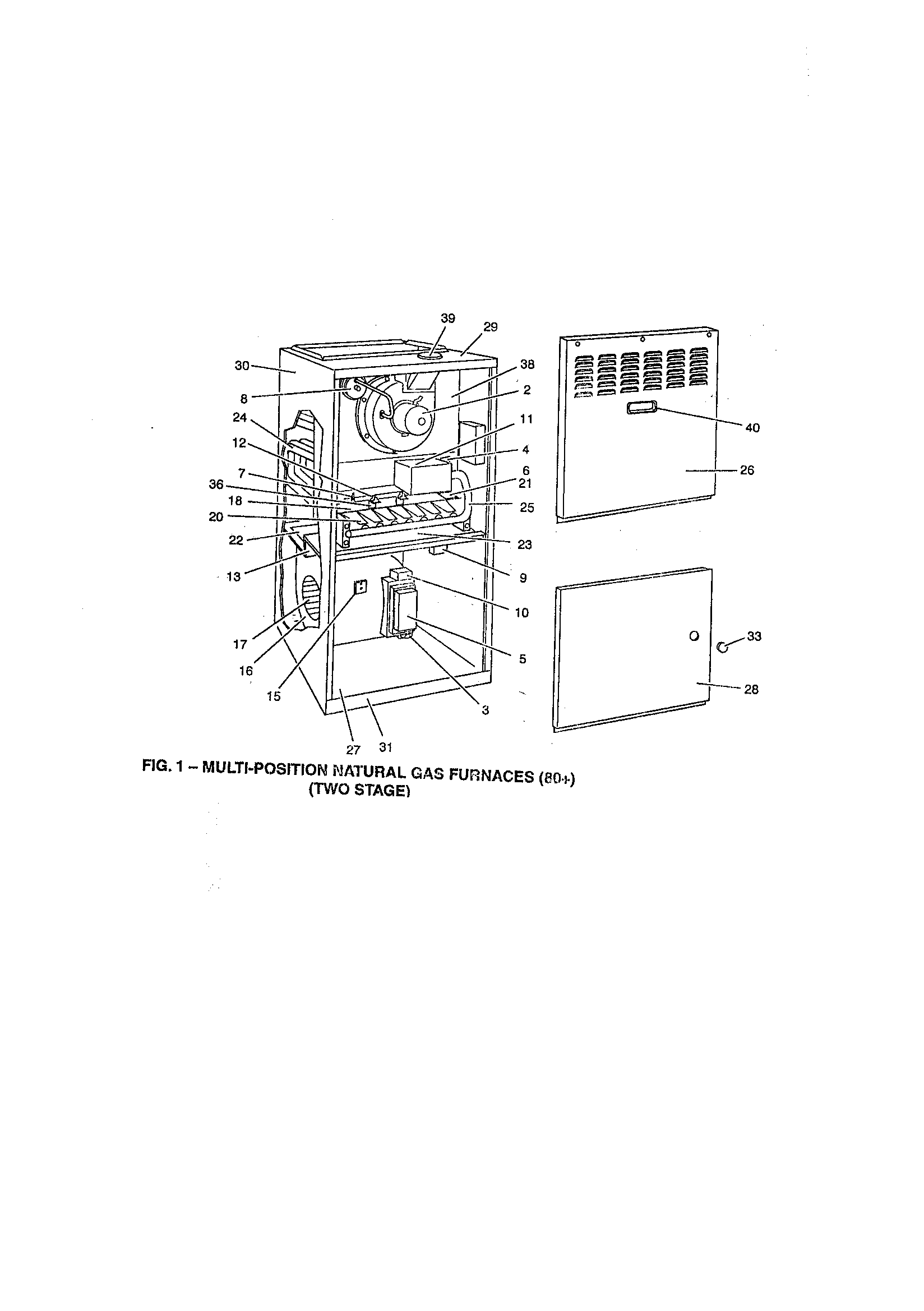 Fig. 1