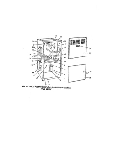Fig. 1