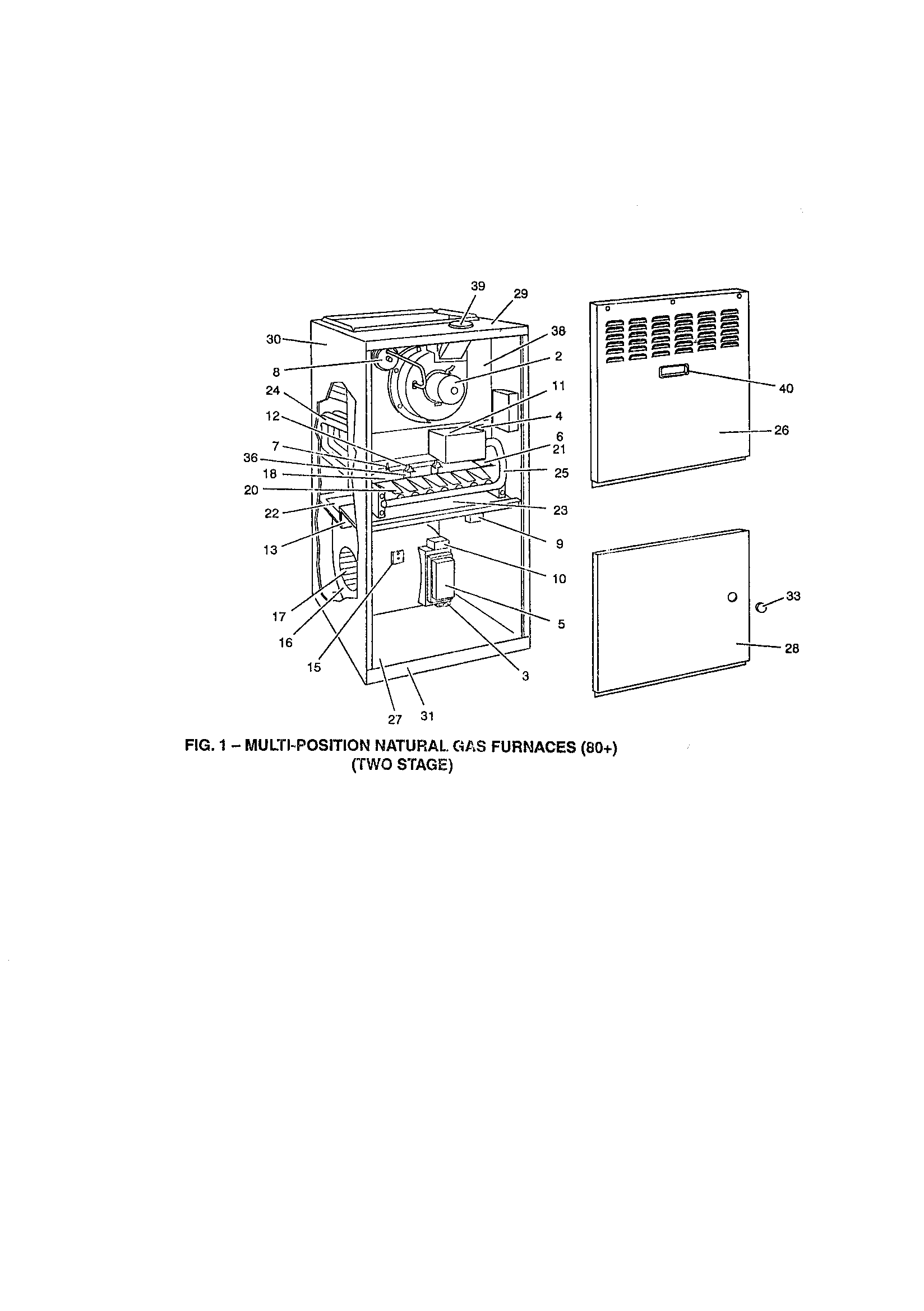 Fig. 1