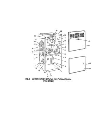 Fig. 1