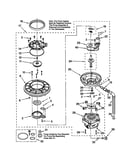 Pump and motor