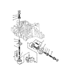 Motor and pump shaft assembly