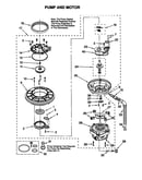 Pump and motor