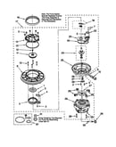Pump and motor