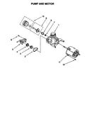 Pump and motor