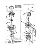 Pump and motor