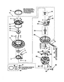Pump and motor