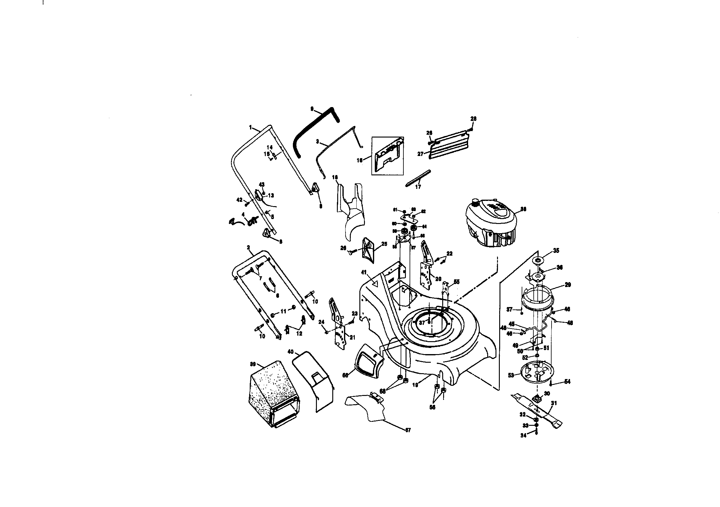 Rotary lawn mower