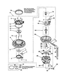 Pump and motor