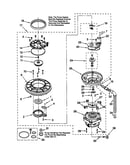 Pump and motor