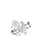 Rotary lawn mower