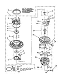 Pump and motor