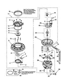 Pump and motor