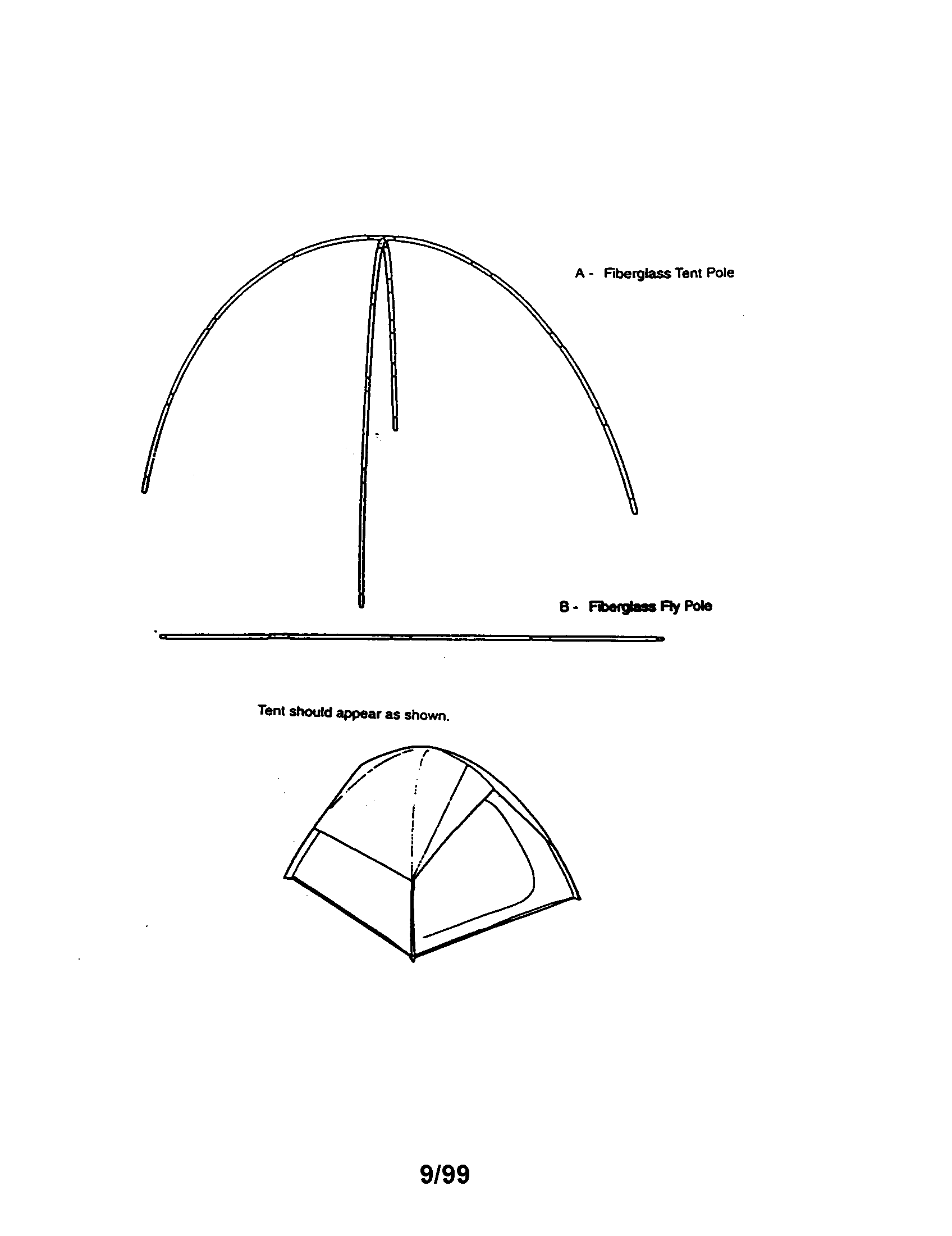Dome tent 308781211