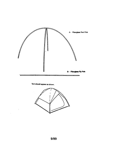 Dome tent 308781211