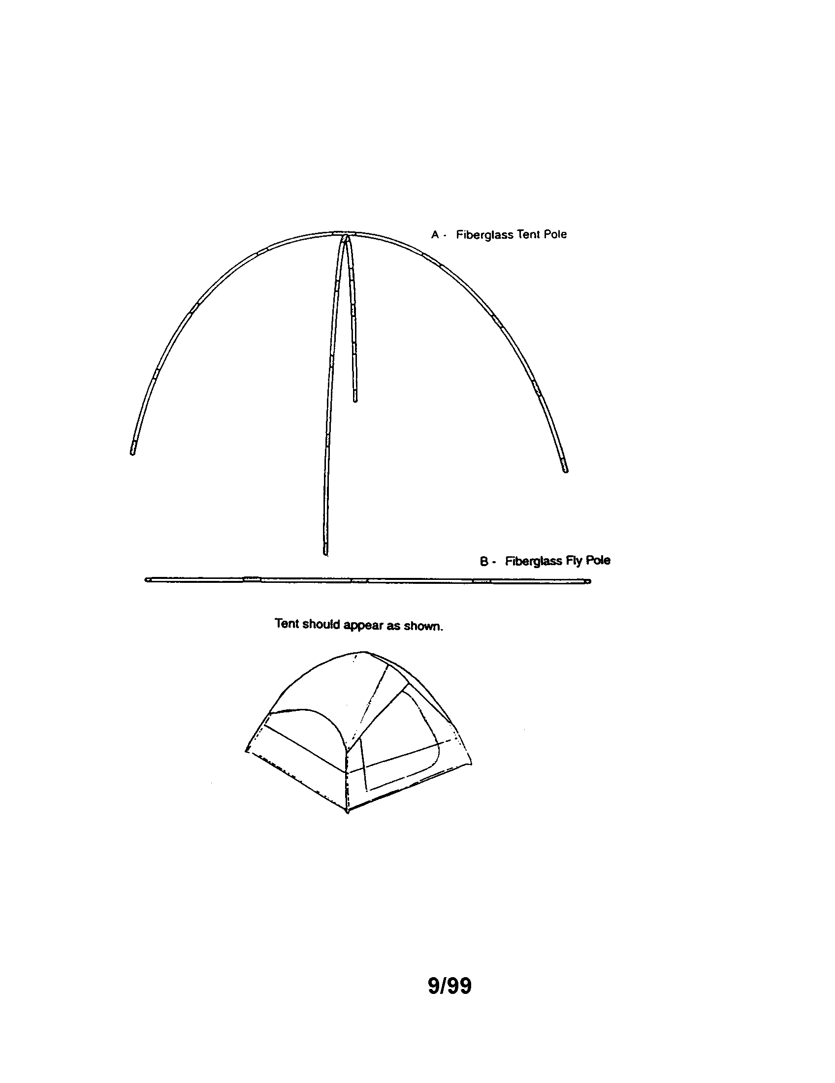Dome tent 308782361