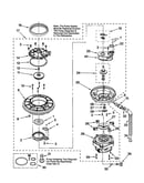 Pump and motor