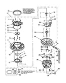 Pump and motor