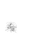 Impeller assembly
