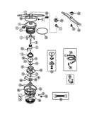 Pump and motor