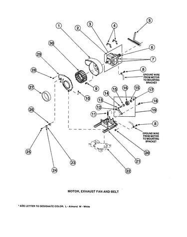 Motor, exhaust fan and belt
