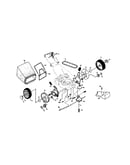 Tire and wheel assembly