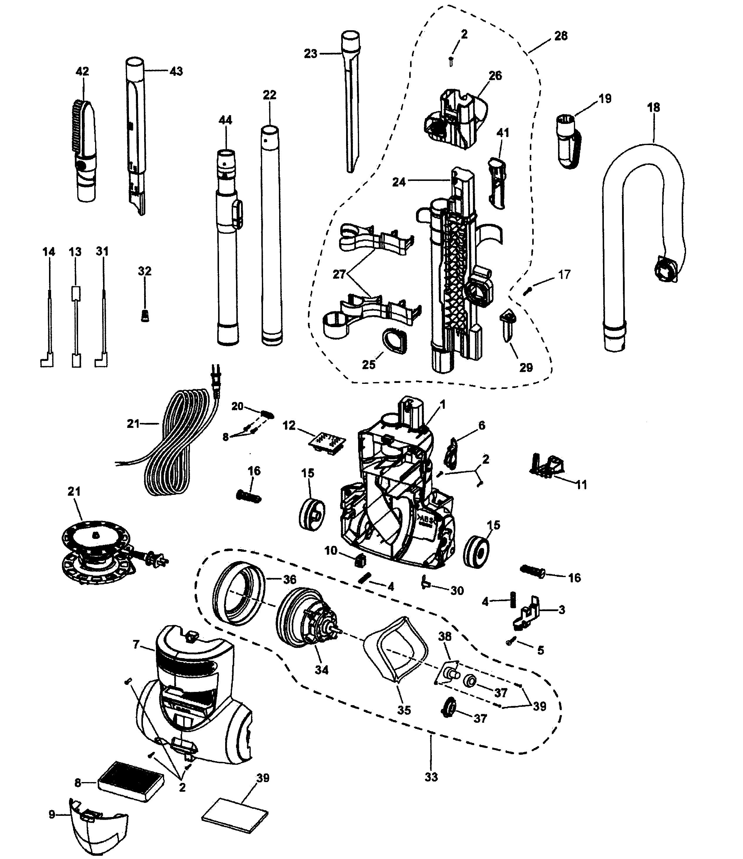 MAIN BODY